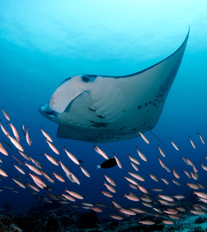 A Long-Term Partnership: